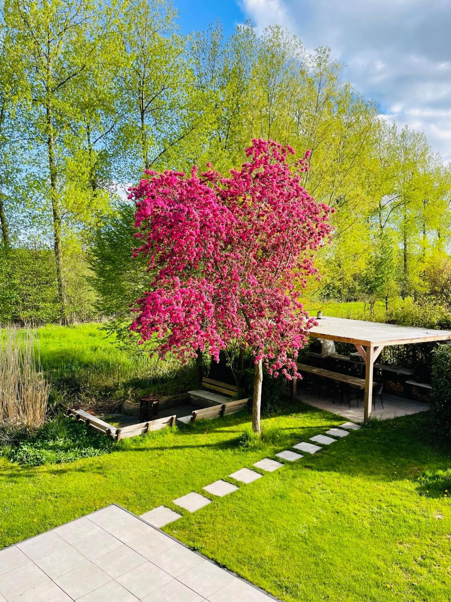 Villa Calma Rust Ruimte Luxe Inclusief Private Jacuzzi Зеволде Екстер'єр фото